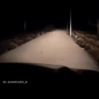 0ddf68.gif