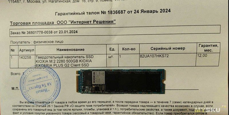 SSD KIOXIA  EXCERIA PLUS G2 500 ГБ