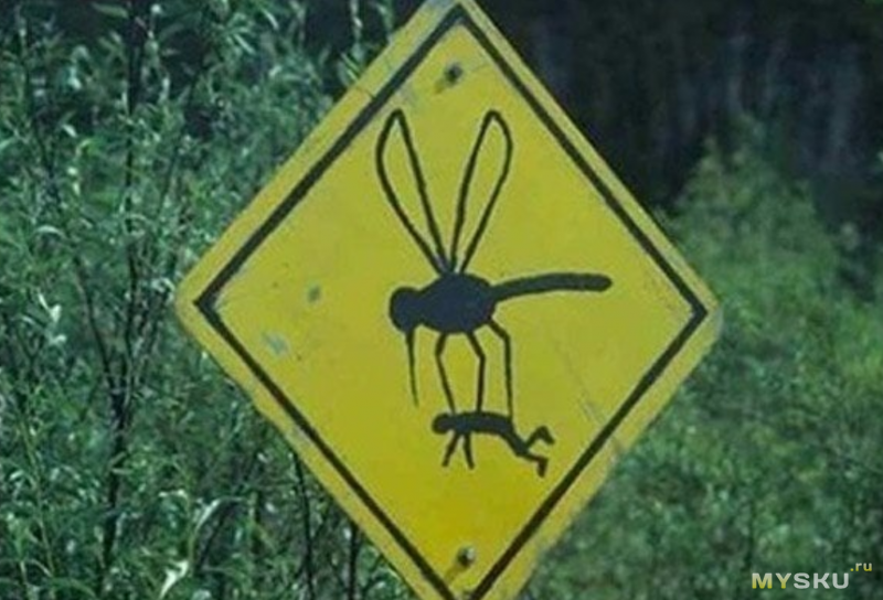 Три способа борьбы с комарами